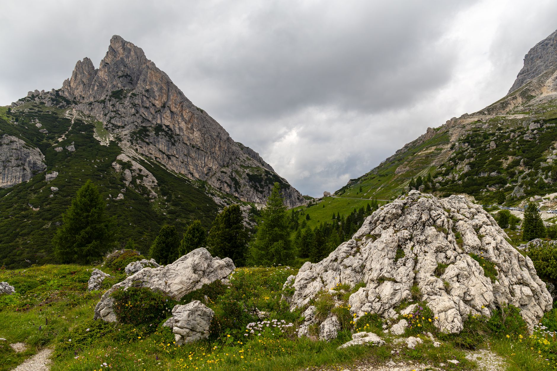 Alpine meadow trail with stone path