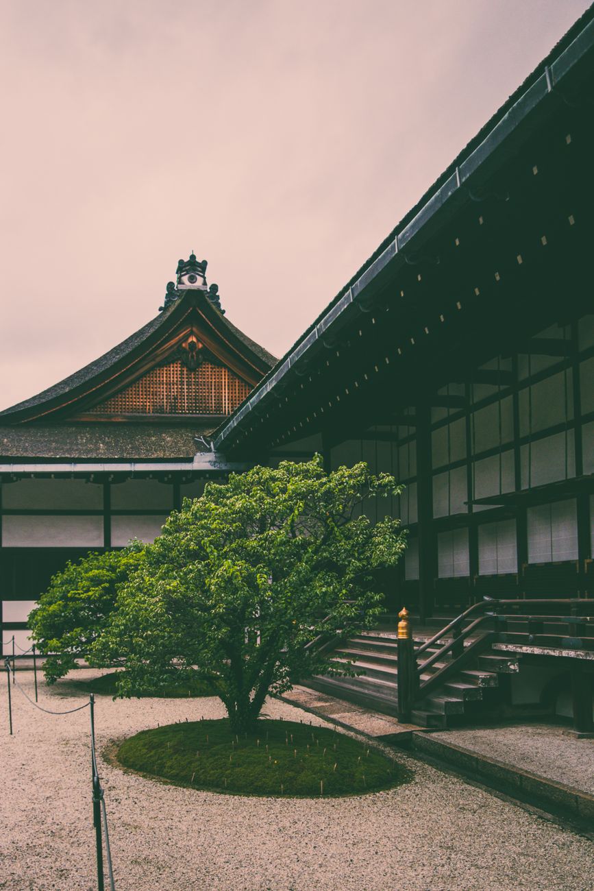 Traditional Japanese wooden temple courtyard